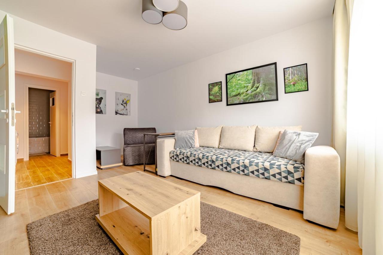 Mid-Term Rental Racadau Apartment Brašov Exteriér fotografie